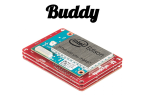 Buddy